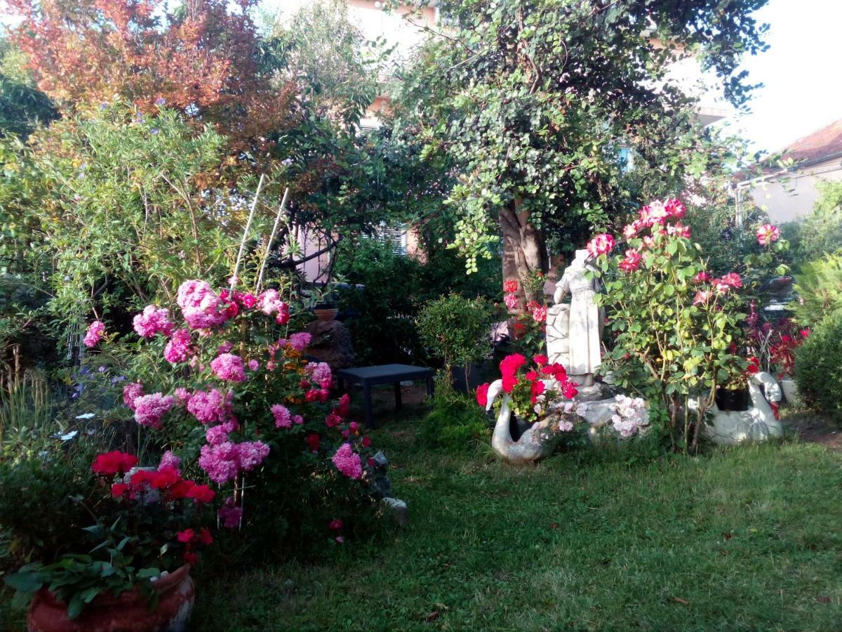 Apartmani Nado Majica Sveti Filip i Jakov Exterior foto