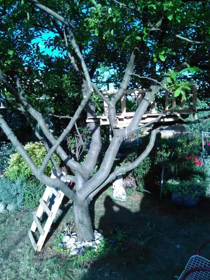Apartmani Nado Majica Sveti Filip i Jakov Exterior foto